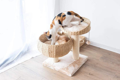 Contemporary Compact Cat Tree with Dual Beds, Handwoven Paper Rope Basket, Elevated Perch, Sisal Scratching Posts, and Removable Washable Cushions in Beige