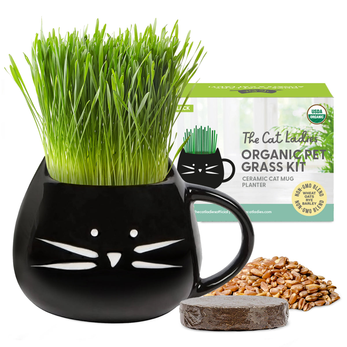 Organic Cat Grass Growing Kit with Elegant Black Ceramic Planter - Ideal Indoor Planting Gift Set