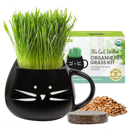 Organic Cat Grass Growing Kit with Elegant Black Ceramic Planter - Ideal Indoor Planting Gift Set