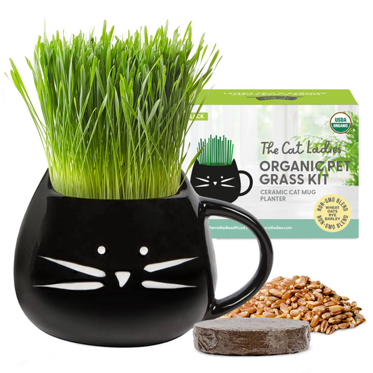 Organic Cat Grass Growing Kit with Elegant Black Ceramic Planter - Ideal Indoor Planting Gift Set