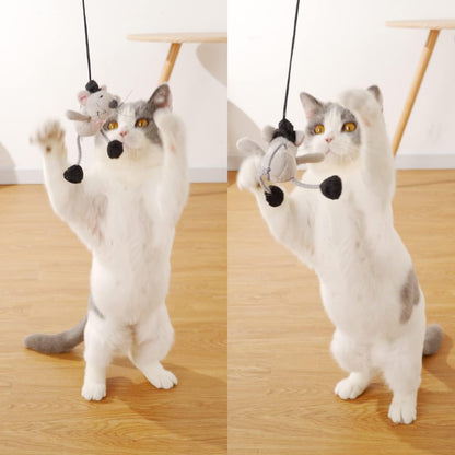 Interactive Cat Wand Toy with Teasing Mouse - Engaging Indoor Play for Kittens and Cats to Reduce Boredom
