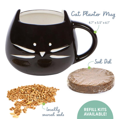 Organic Cat Grass Growing Kit with Elegant Black Ceramic Planter - Ideal Indoor Planting Gift Set