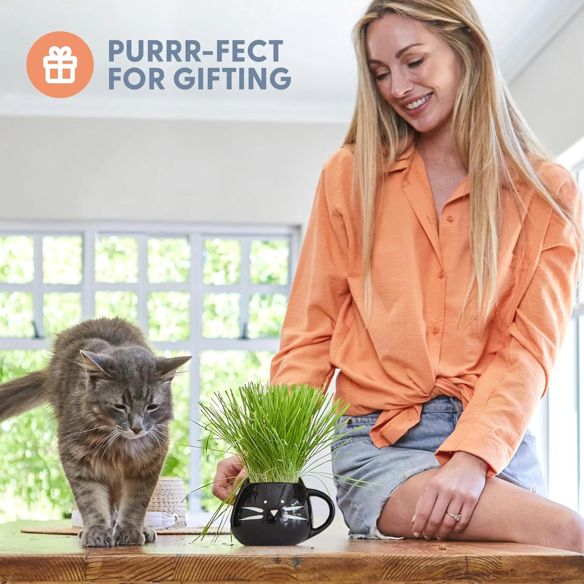 Organic Cat Grass Growing Kit with Elegant Black Ceramic Planter - Ideal Indoor Planting Gift Set